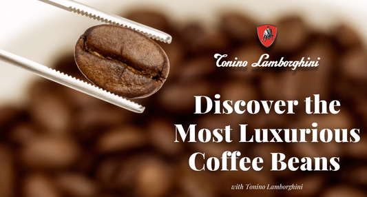 Lamborghini Luxury Coffee Beans