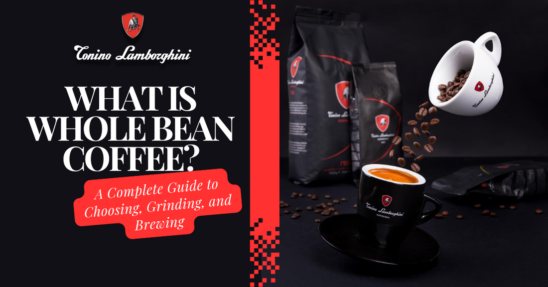 What is Whole Bean Coffee | By Tonino Lamborghini