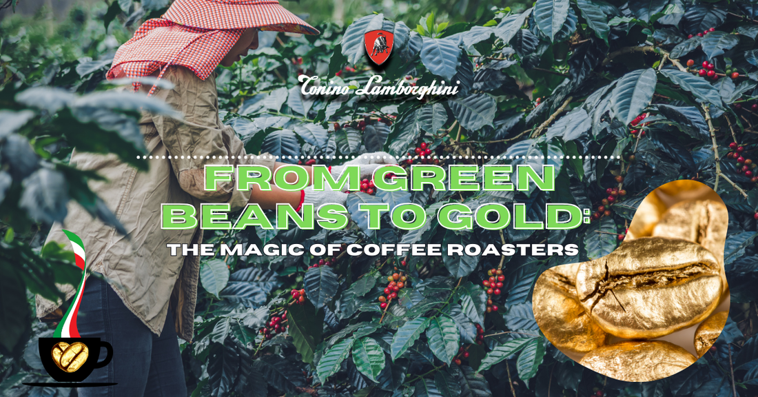 The Magic Of Coffee Roasters-Lamborghini Coffee