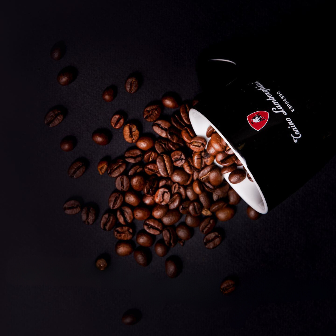 Tonino Lamborghini Coffee | Best Coffee Beans